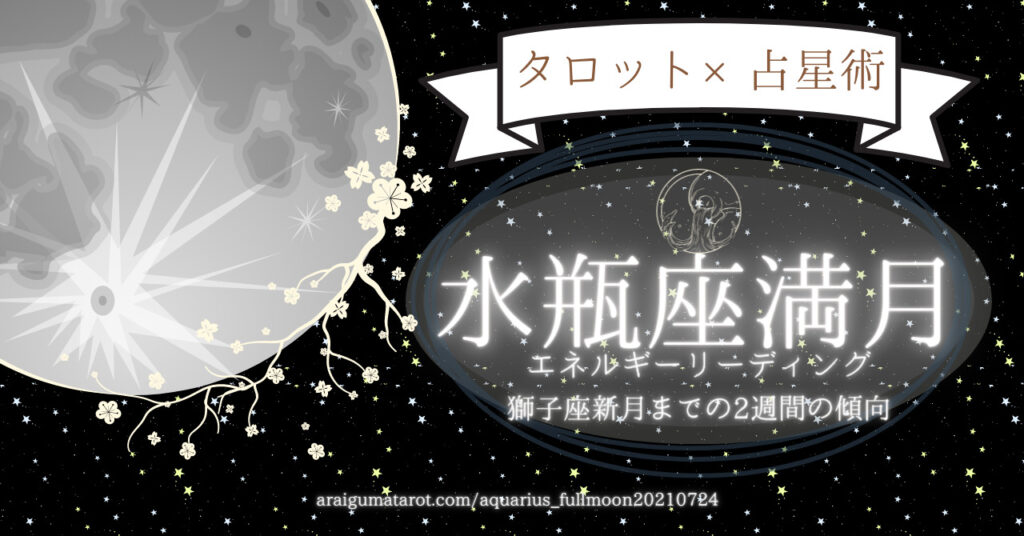 21年7月24日 土 水瓶座満月 1回目 のエネルギーについてホロスコープ タロットカードで細密に読んでみた 8月8日 日 獅子座新月までの過ごし方のヒント あらいぐま カードリーディングの森